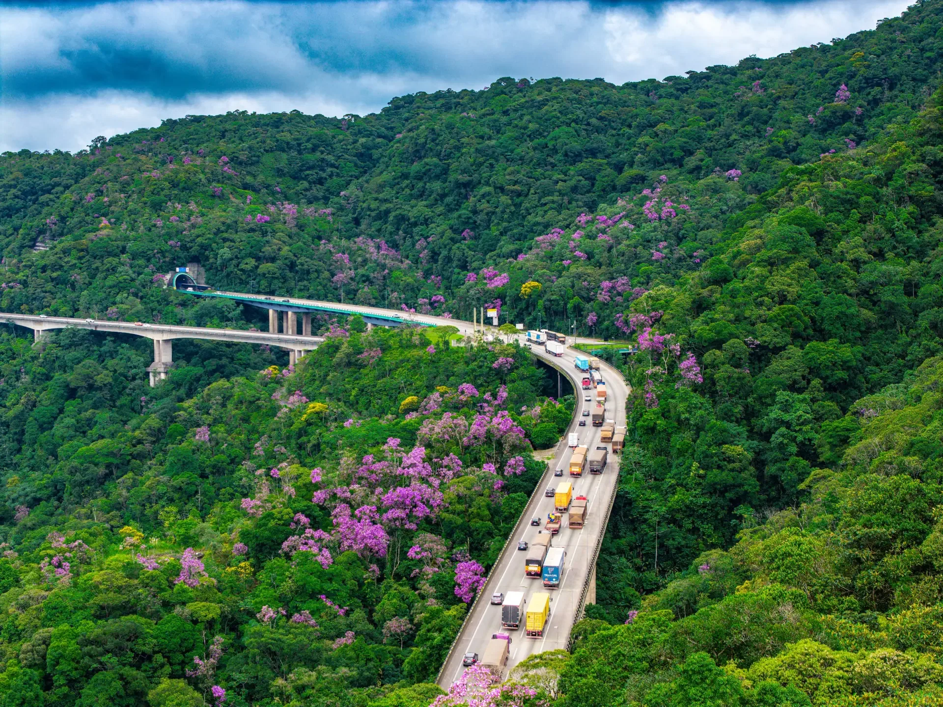 Rodovia do Sistema Anchieta–Imigrantes, administrado pela EcoRodovias, entre os viadutos e a vegetação da Serra do Mar
