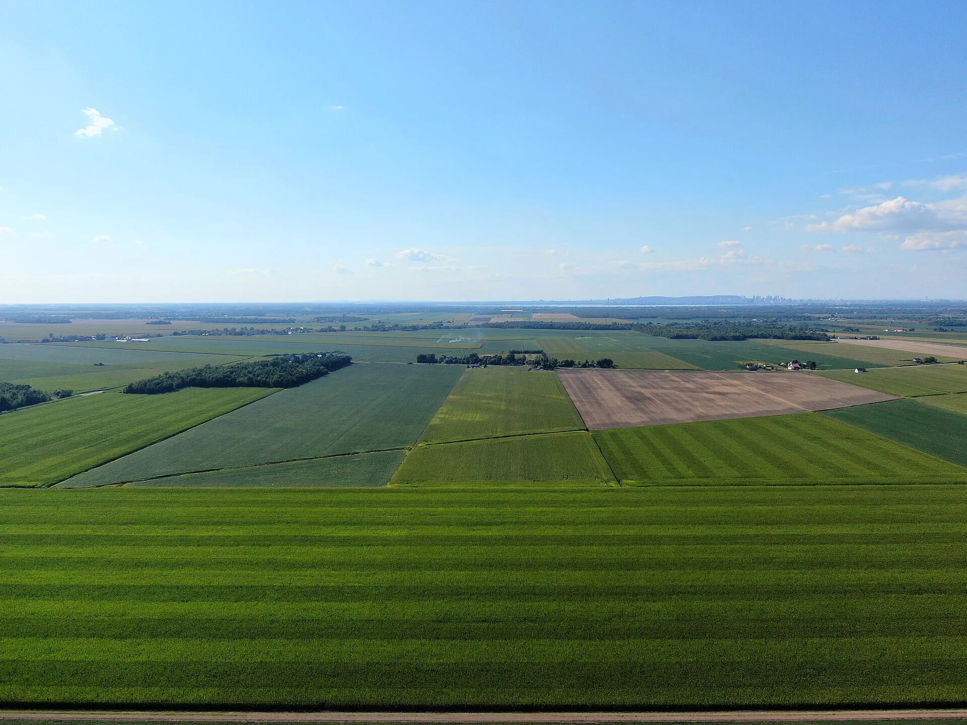 Luftaufnahme eines weitläufigen landwirtschaftlichen Gebiets mit großen Anbauflächen