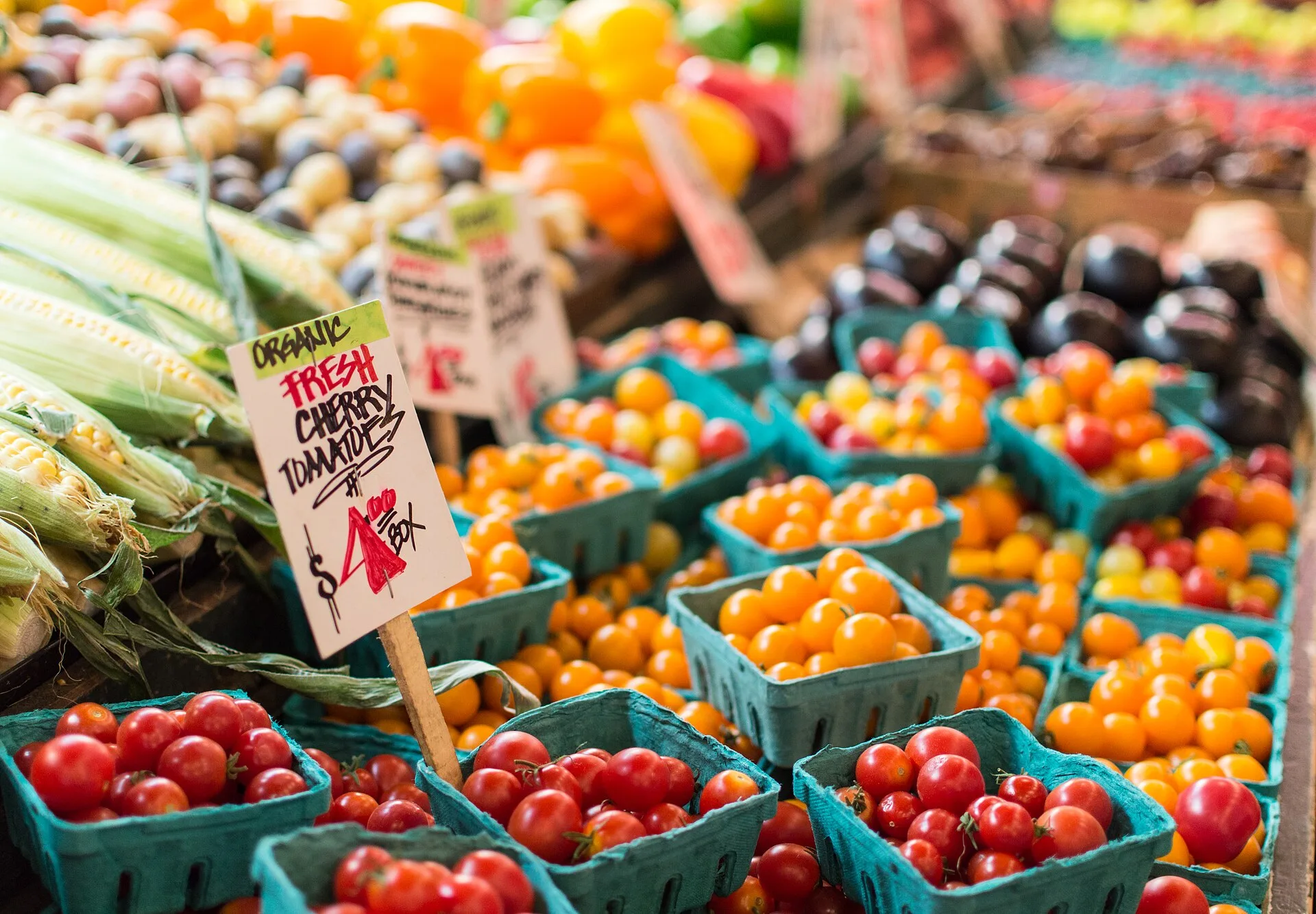 Banca de hortifruti com tomates vermelhos e amarelos, milho e placas de preço escritas à mão